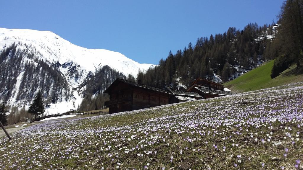 Giatla Hof Der Alfenalm - Ferienwohnungen Am Berg Innervillgraten Exterior foto